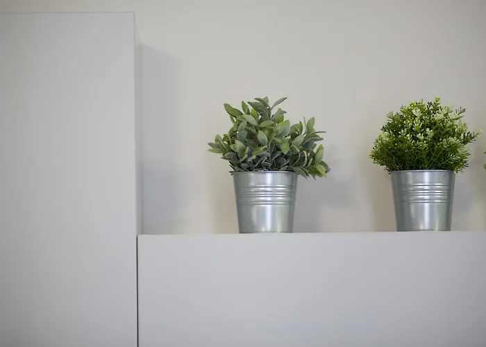 Apartament Beccaria *